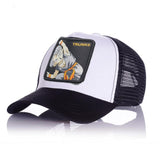 Baseball Cap