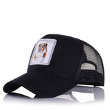 Baseball Cap